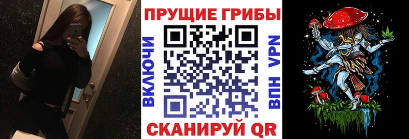 Псилоцибиновые грибы ЛСД  Новосиль 