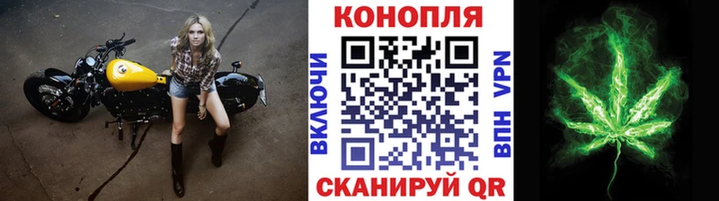 Бошки марихуана индика  blacksprut ссылки  Новосиль 